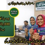 Bewa Sahara Card 2026