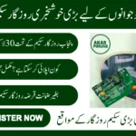 CM Punjab Rozgar Scheme 2026