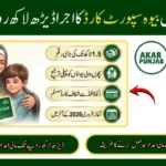 Punjab Widow Support Card